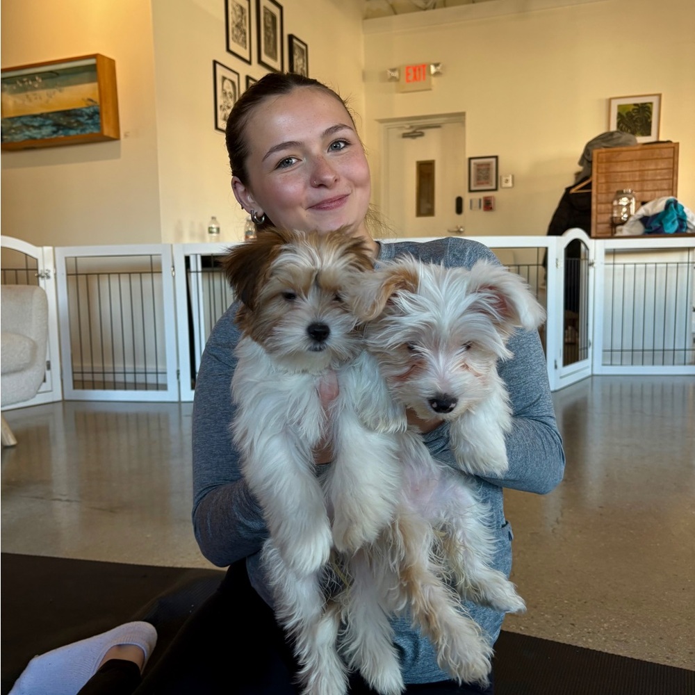 Meet your Posher, Quinn